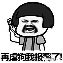 揭秘!加拿大一年中每个月什么东西最值得买?本