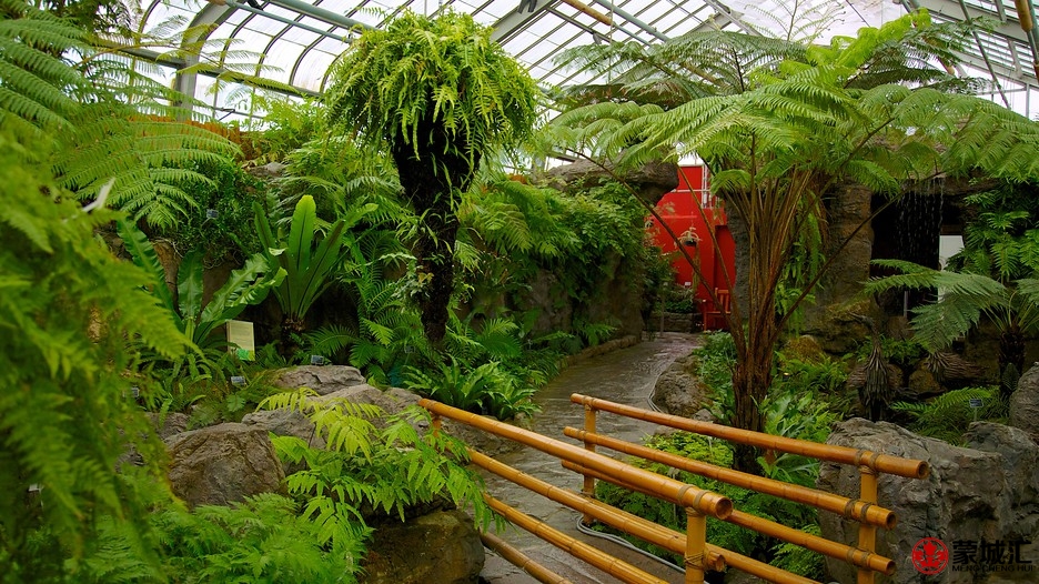 Montreal-Botanical-Gardens-49337.jpg