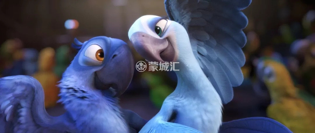 天呐……动画片里的这只小蓝鸟，灭绝了！综合资讯_蒙特利尔垂直频道_蒙城 