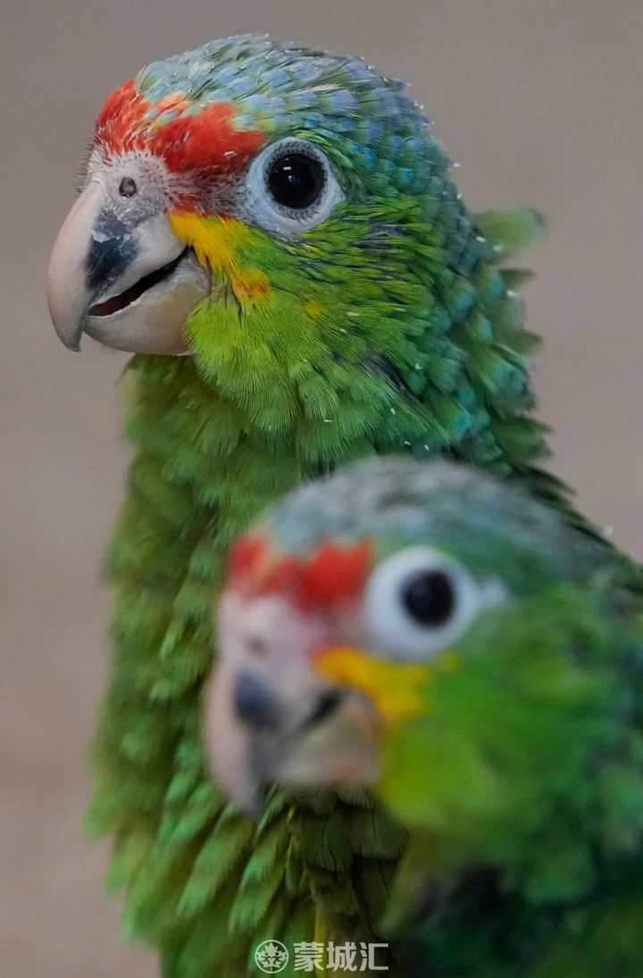 9548e0e324f377901bf1dfb502d6b188.png